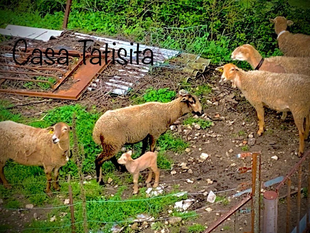 Casa Tatisita Luna 塞古拉 - 德拉谢拉 外观 照片
